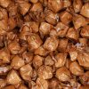 Lindt Fioretto Cappuccino Minis 3kg